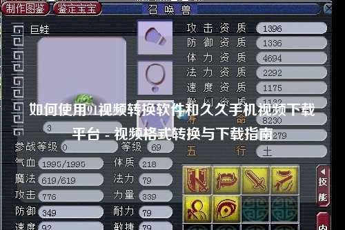 如何使用91视频转换软件和久久手机视频下载平台 - 视频格式转换与下载指南